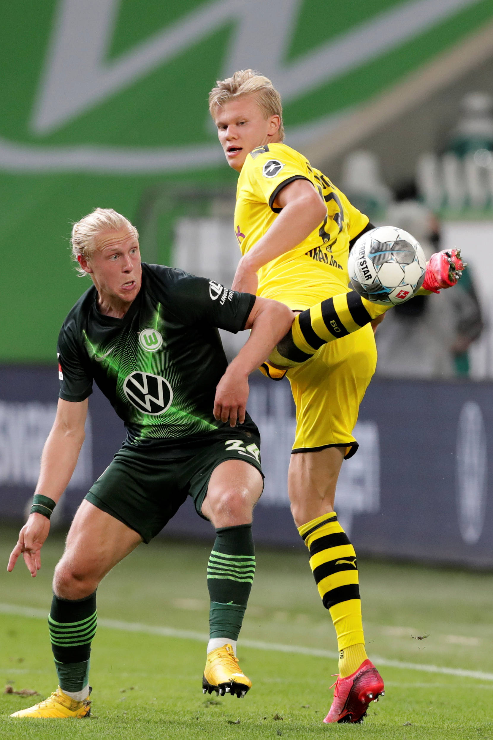 这里不仅有 这里不仅有